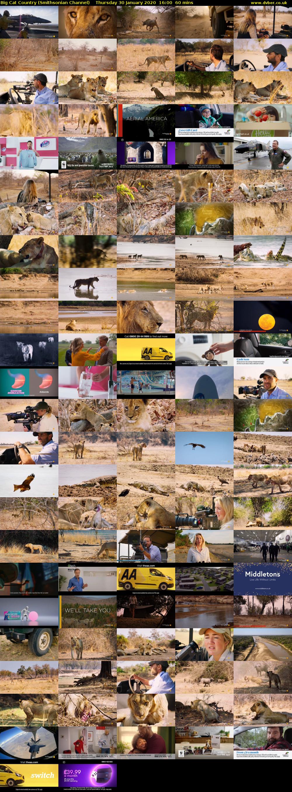 Big Cat Country (Smithsonian Channel) Thursday 30 January 2020 16:00 - 17:00