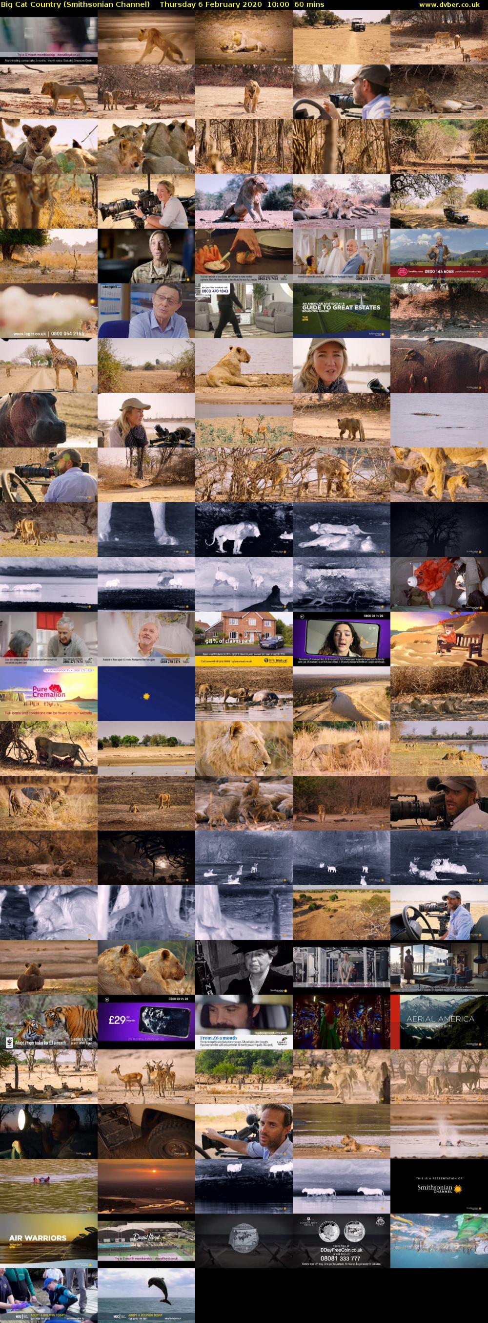 Big Cat Country (Smithsonian Channel) Thursday 6 February 2020 10:00 - 11:00