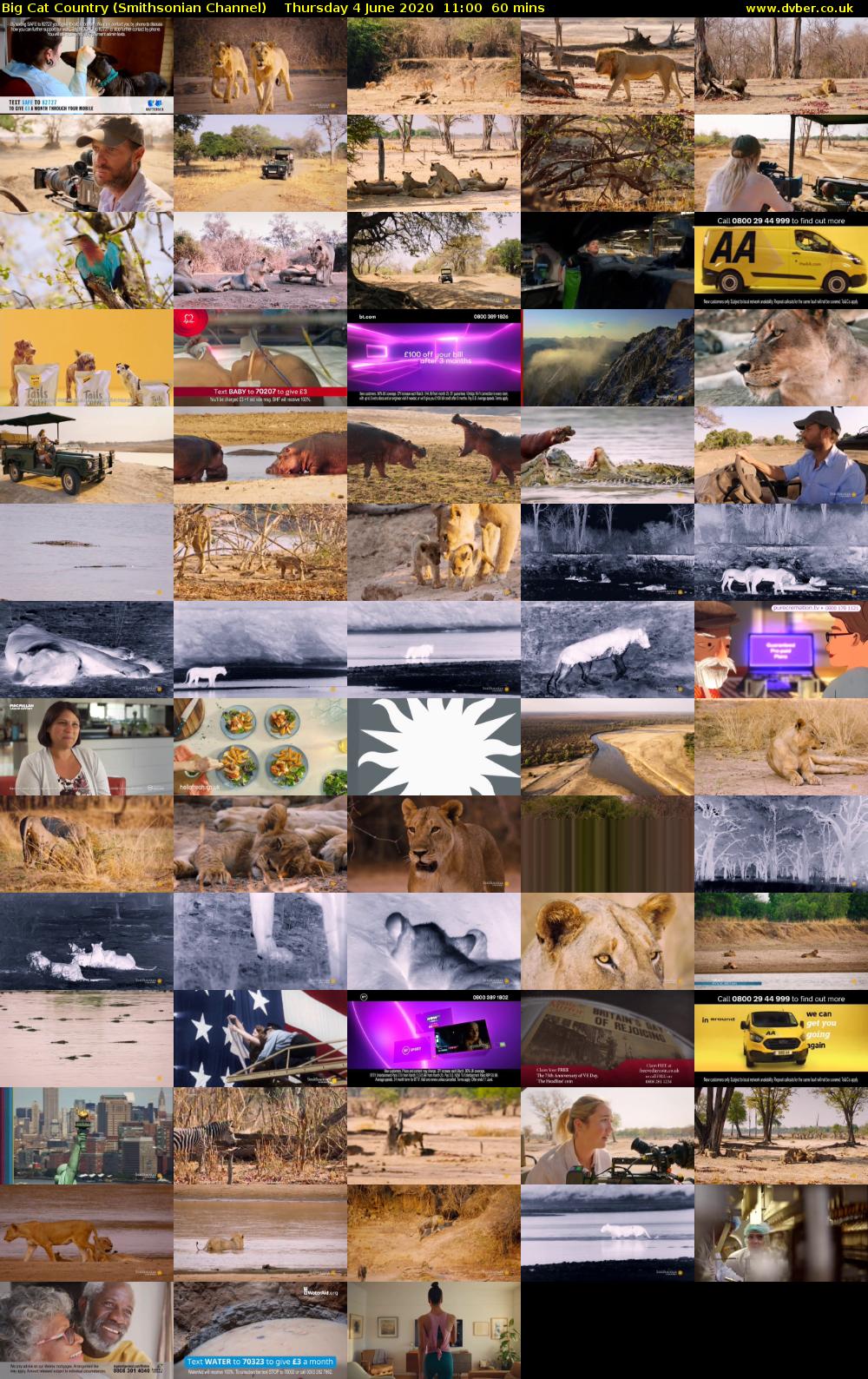 Big Cat Country (Smithsonian Channel) Thursday 4 June 2020 11:00 - 12:00