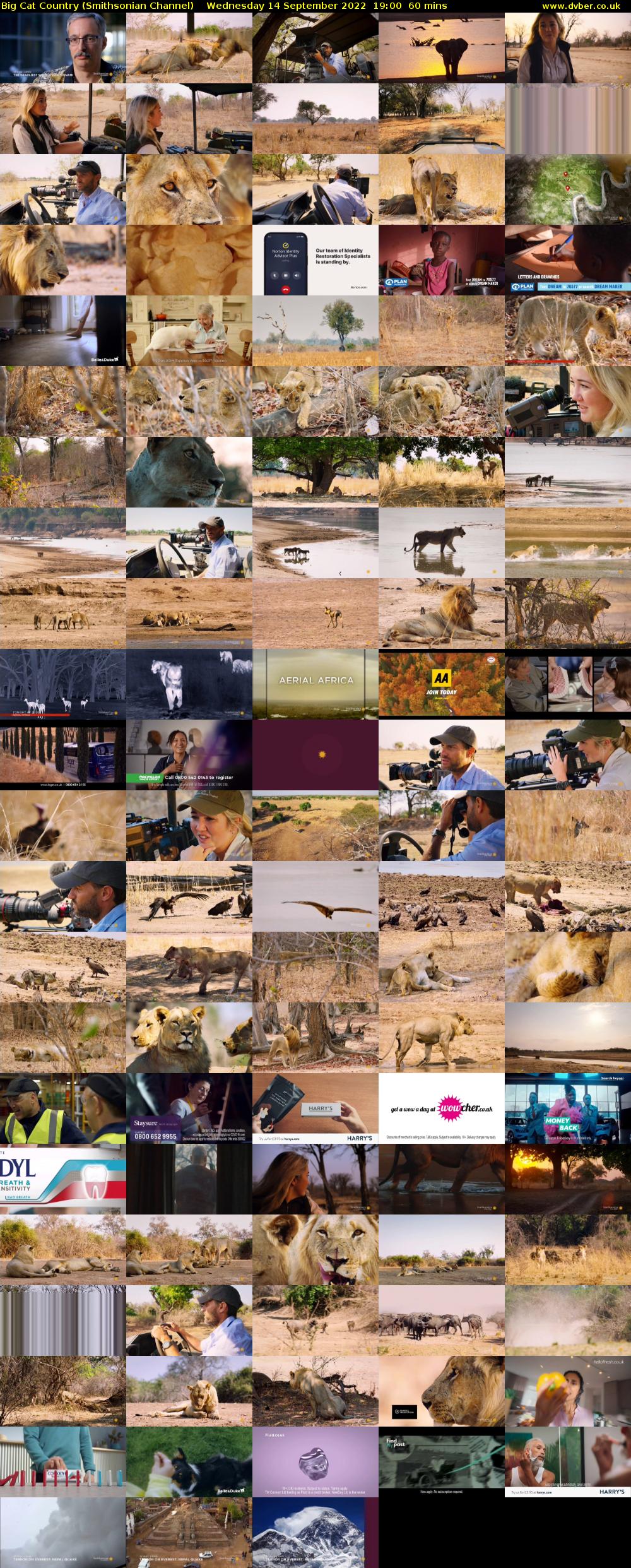 Big Cat Country (Smithsonian Channel) Wednesday 14 September 2022 19:00 - 20:00