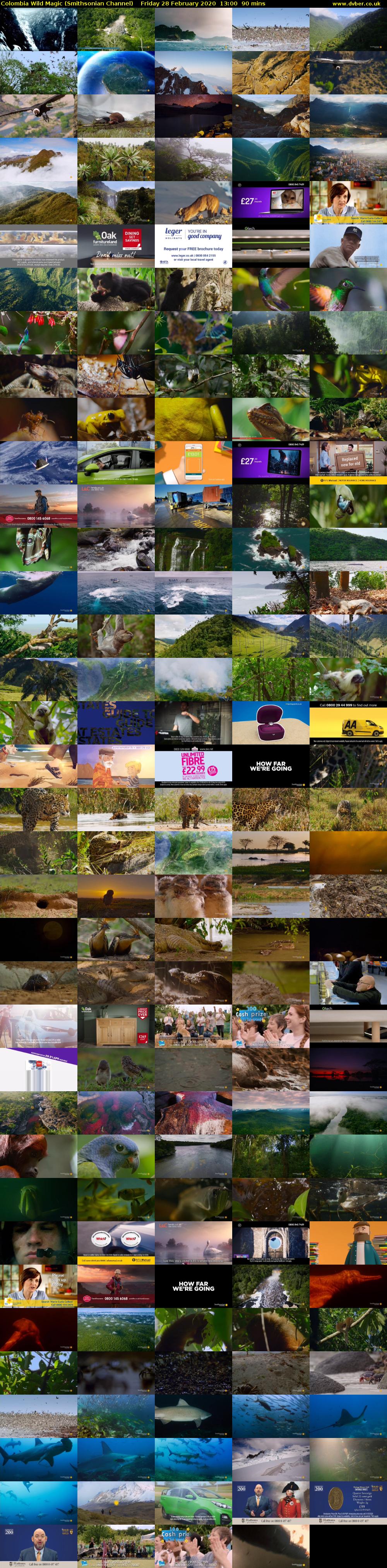 Colombia Wild Magic (Smithsonian Channel) Friday 28 February 2020 13:00 - 14:30