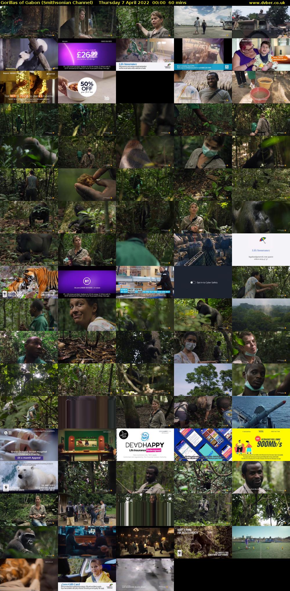 Gorillas of Gabon (Smithsonian Channel) Thursday 7 April 2022 00:00 - 01:00