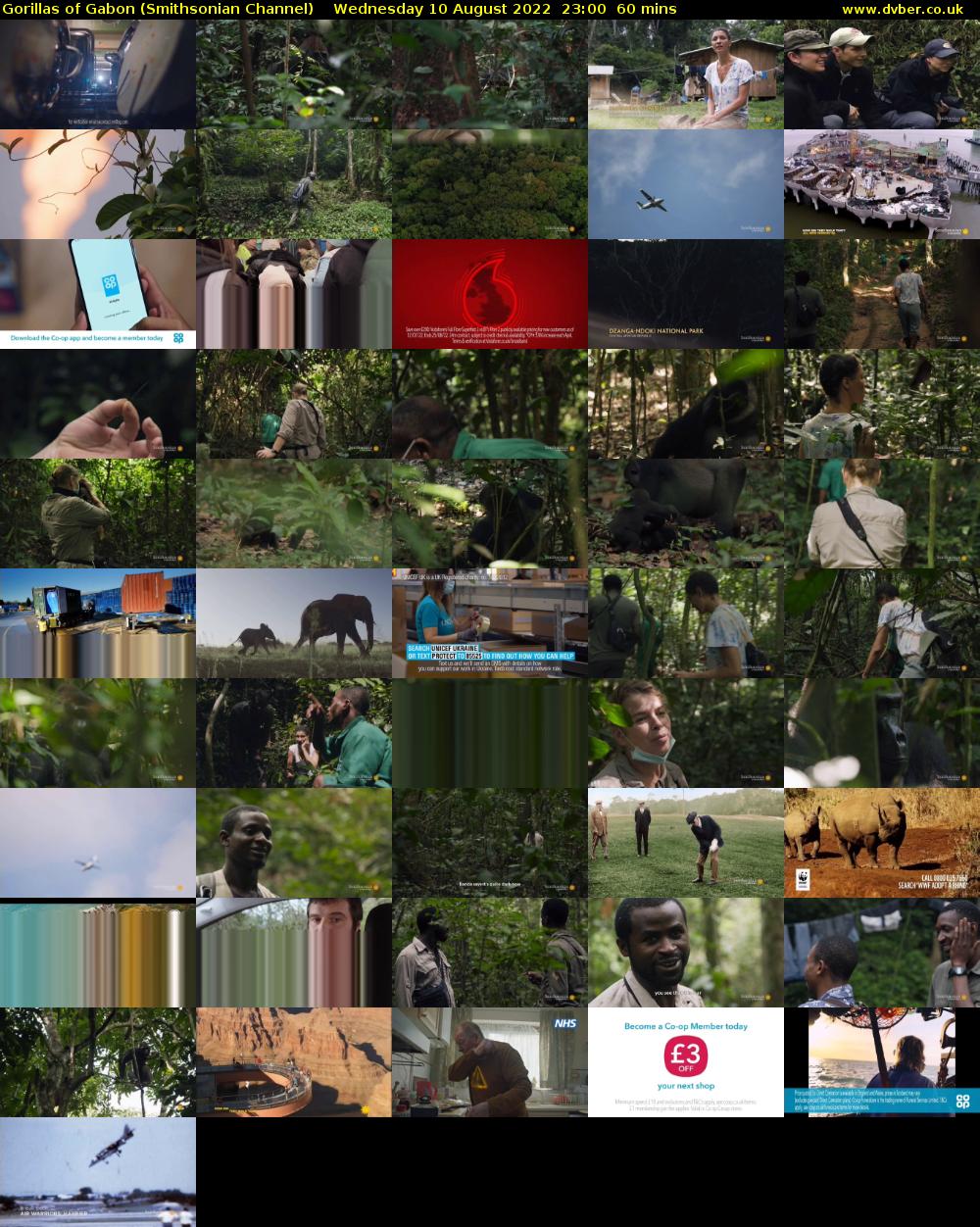 Gorillas of Gabon (Smithsonian Channel) Wednesday 10 August 2022 23:00 - 00:00