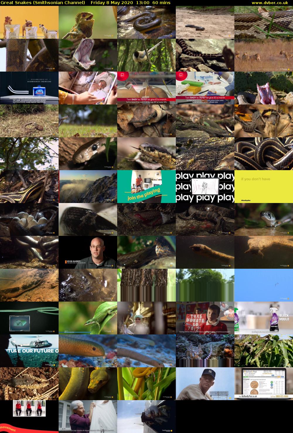 Great Snakes (Smithsonian Channel) Friday 8 May 2020 13:00 - 14:00
