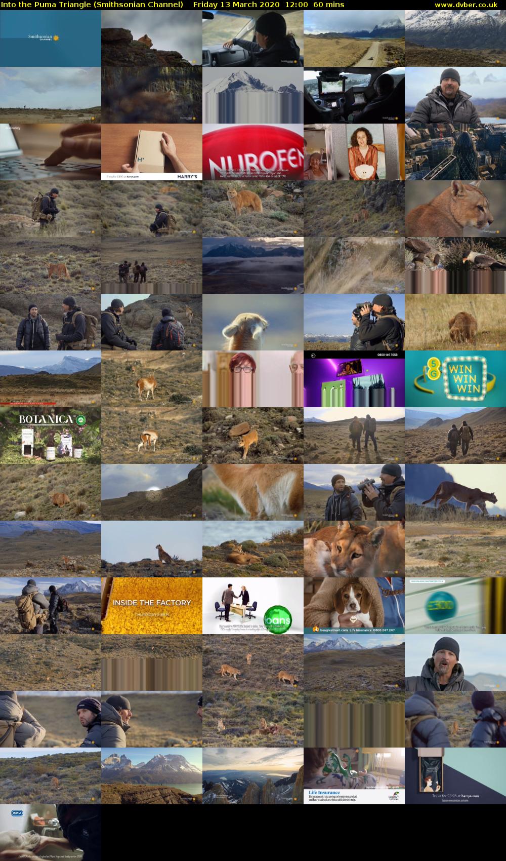 Into the Puma Triangle (Smithsonian Channel) Friday 13 March 2020 12:00 - 13:00