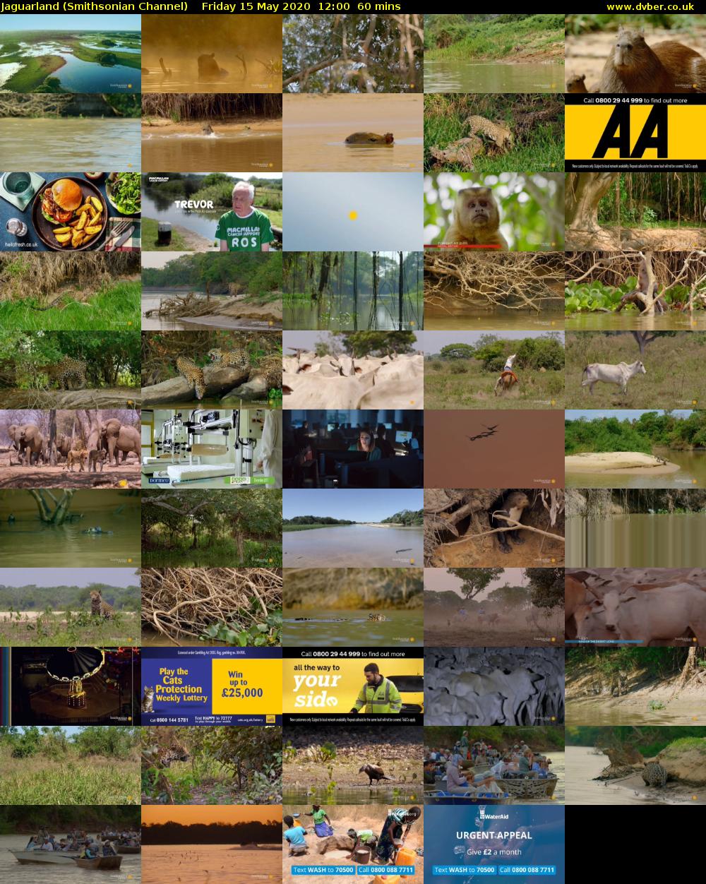 Jaguarland (Smithsonian Channel) Friday 15 May 2020 12:00 - 13:00