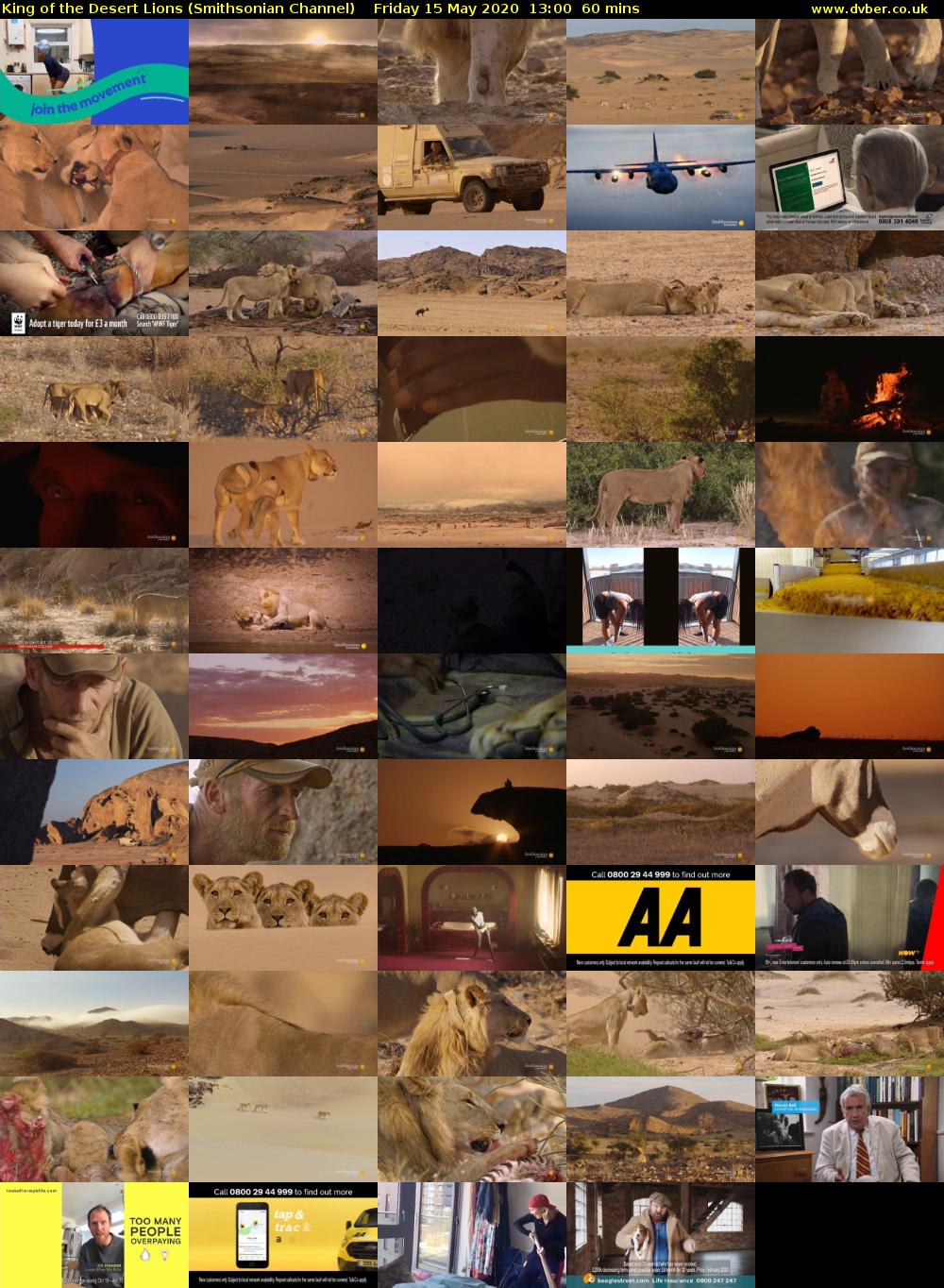 King of the Desert Lions (Smithsonian Channel) Friday 15 May 2020 13:00 - 14:00