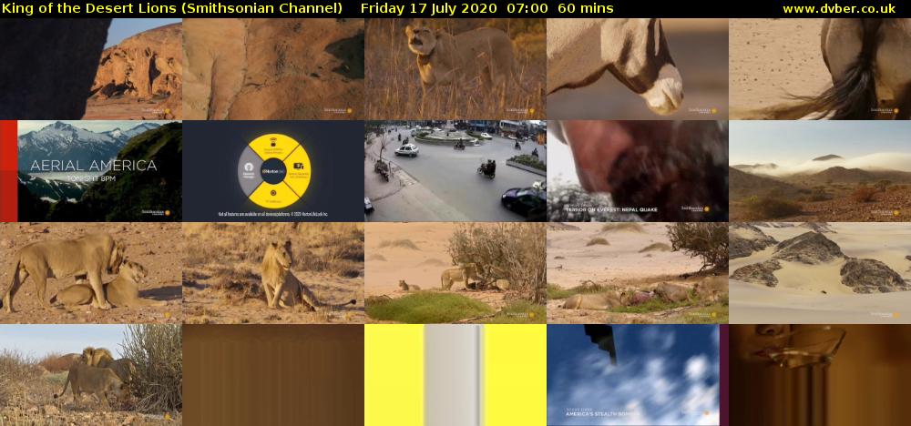 King of the Desert Lions (Smithsonian Channel) Friday 17 July 2020 07:00 - 08:00