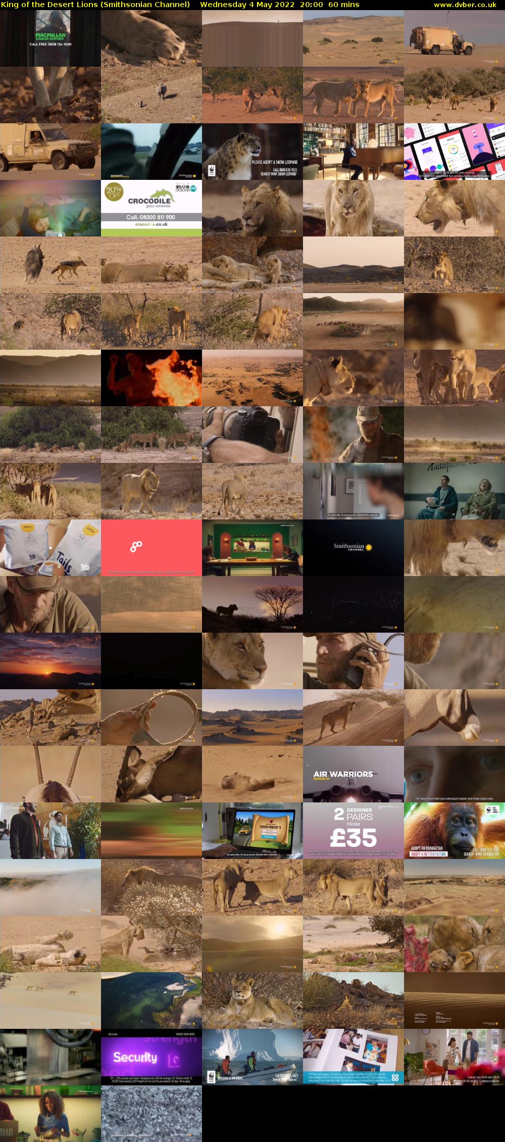 King of the Desert Lions (Smithsonian Channel) Wednesday 4 May 2022 20:00 - 21:00