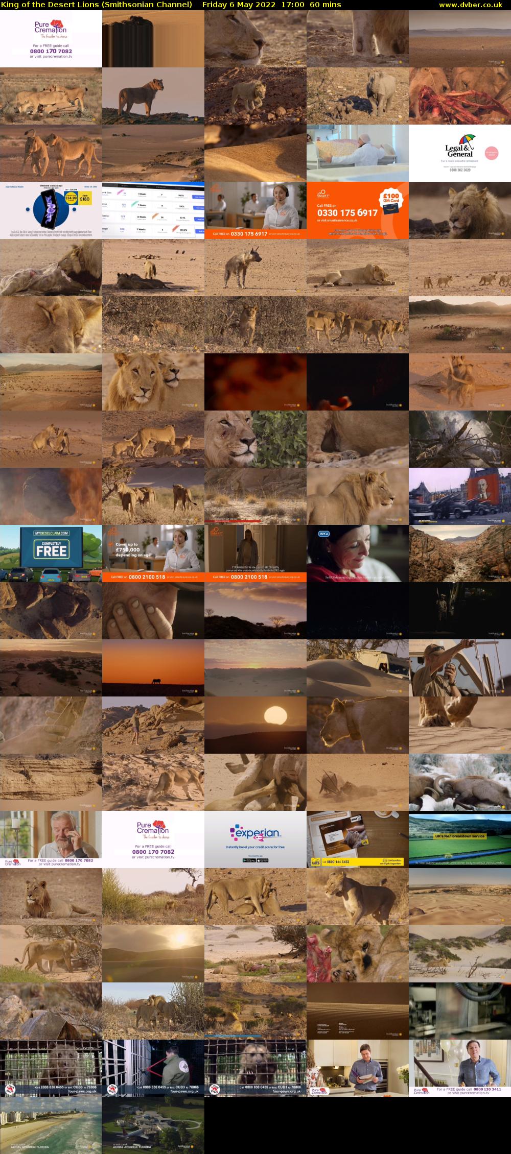 King of the Desert Lions (Smithsonian Channel) Friday 6 May 2022 17:00 - 18:00