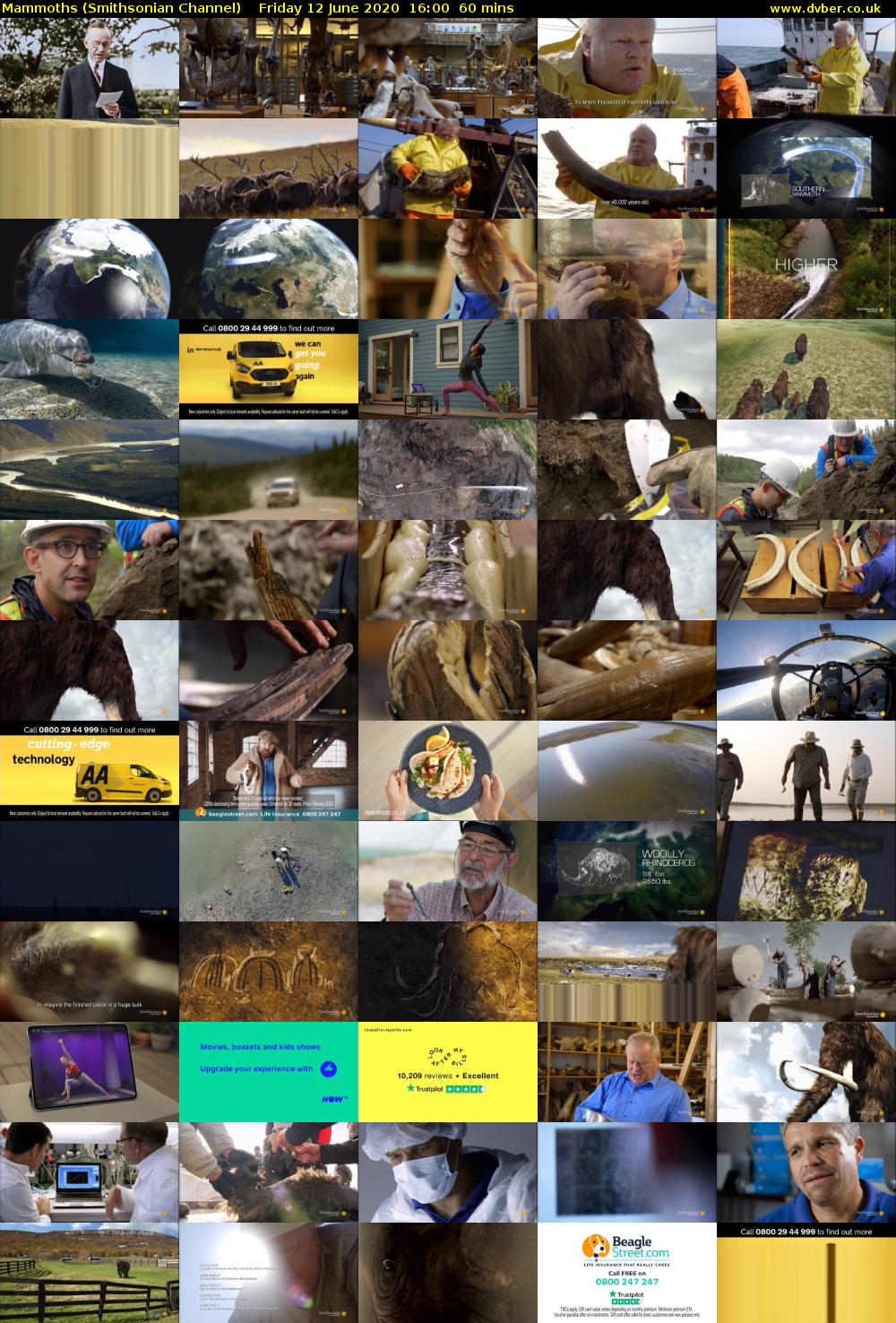 Mammoths (Smithsonian Channel) Friday 12 June 2020 16:00 - 17:00