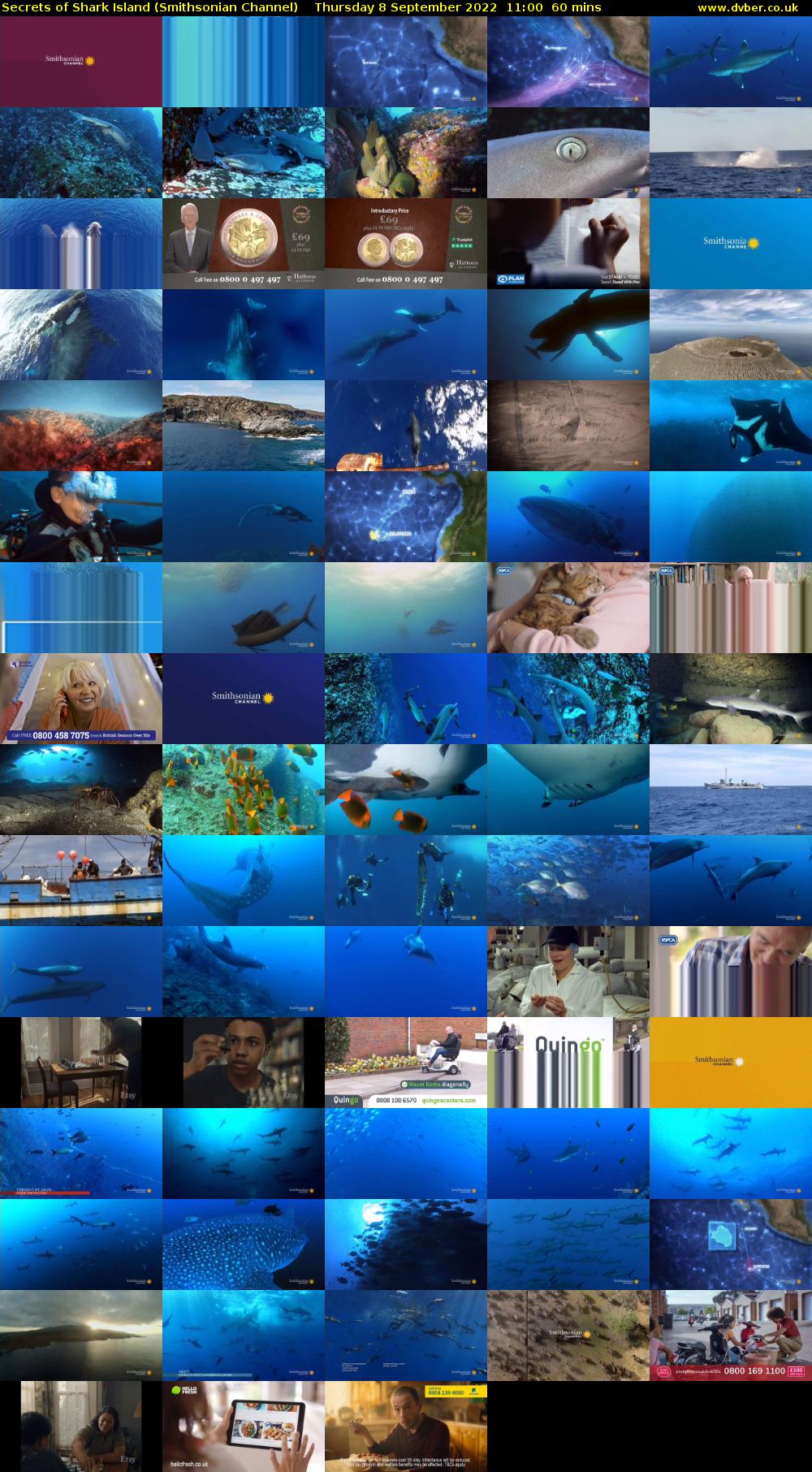 Secrets of Shark Island (Smithsonian Channel) Thursday 8 September 2022 11:00 - 12:00