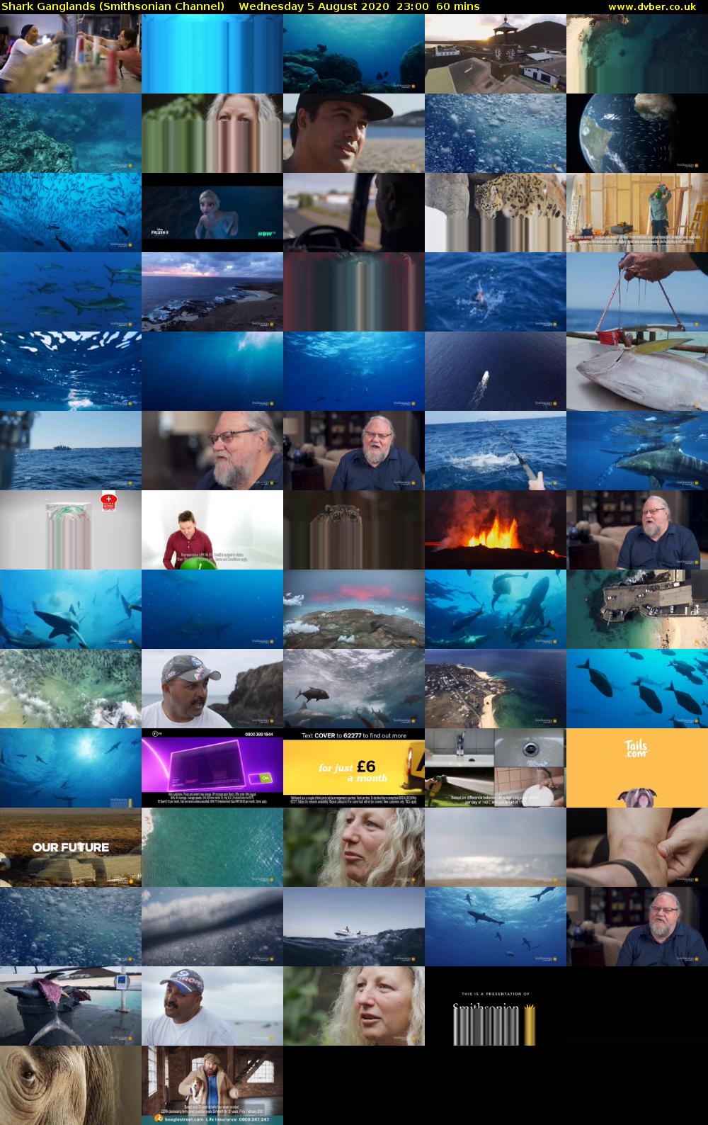 Shark Ganglands (Smithsonian Channel) Wednesday 5 August 2020 23:00 - 00:00