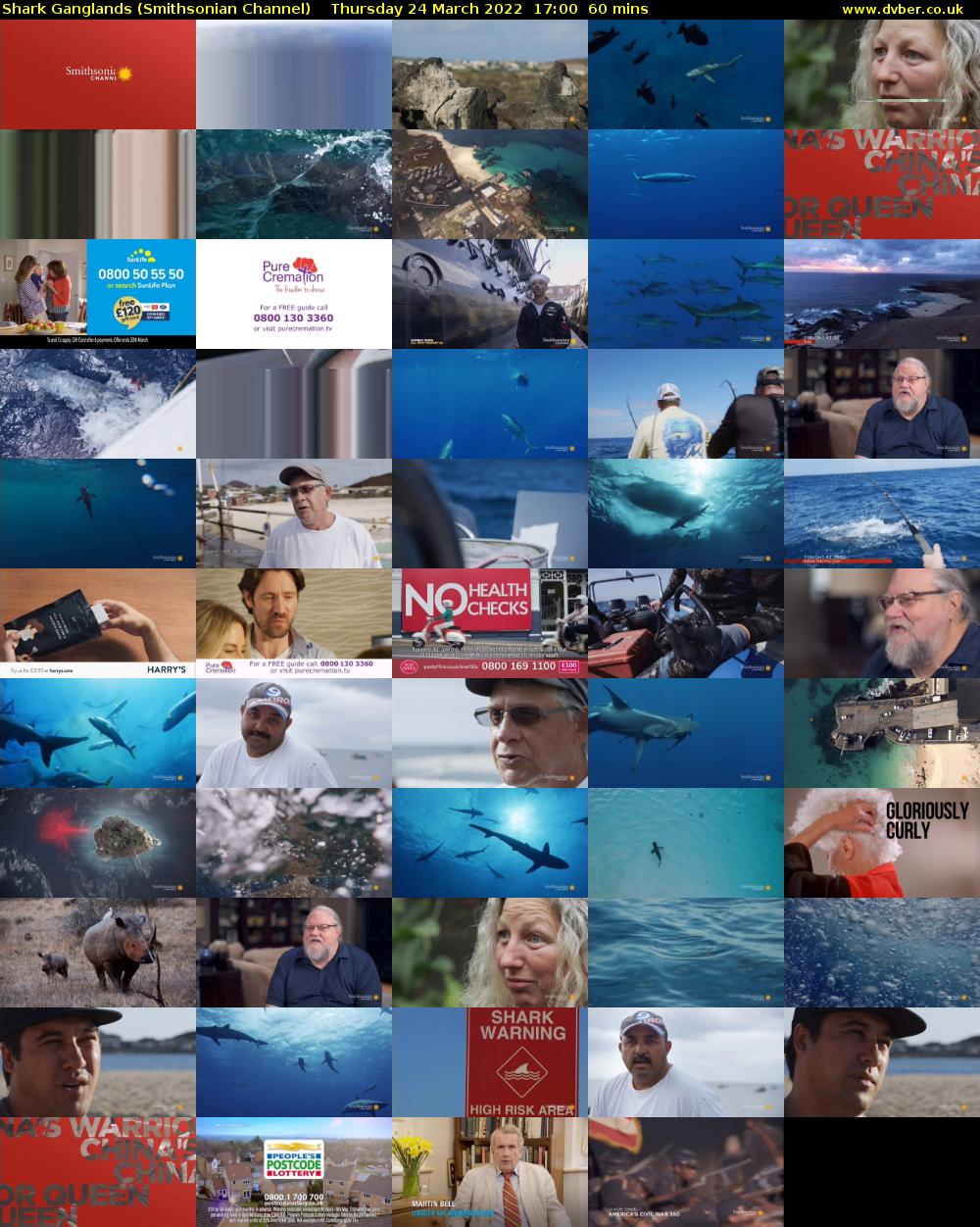Shark Ganglands (Smithsonian Channel) Thursday 24 March 2022 17:00 - 18:00