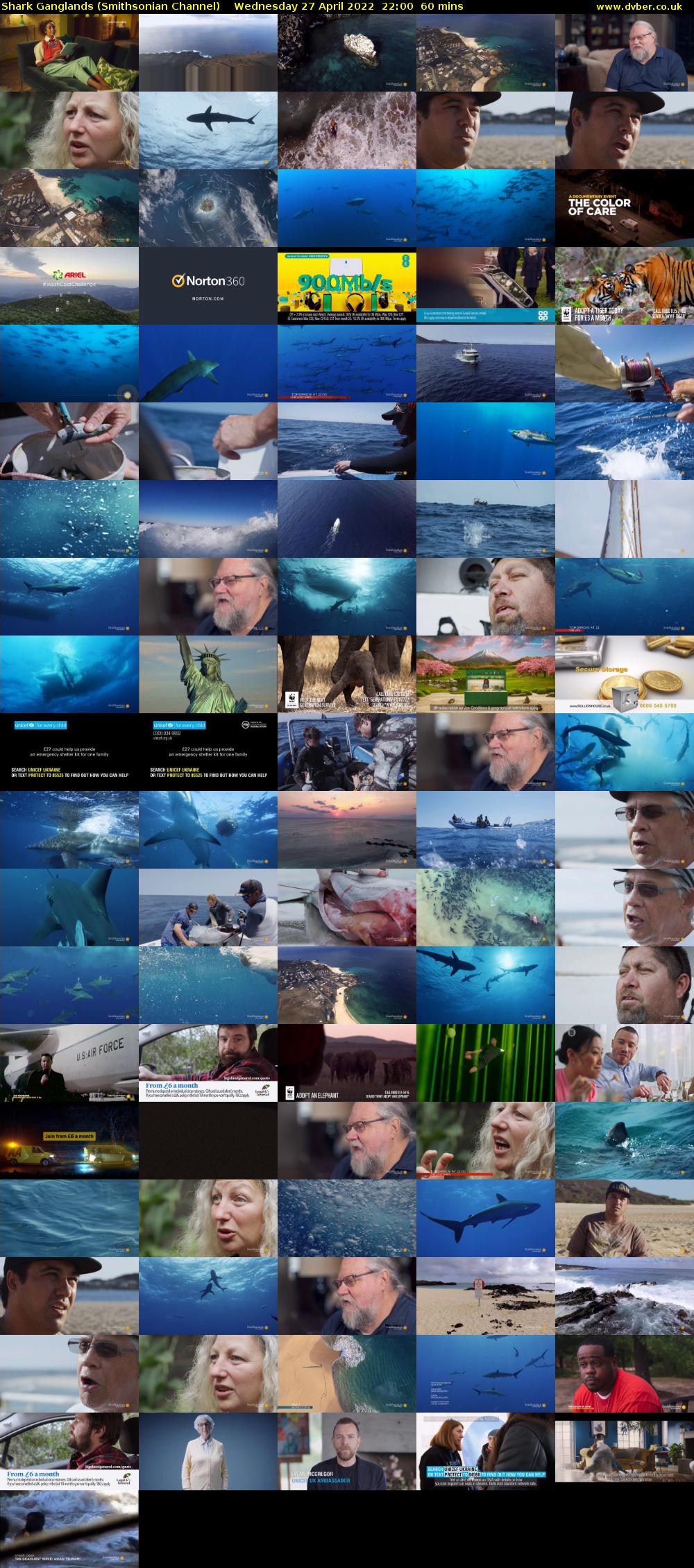 Shark Ganglands (Smithsonian Channel) Wednesday 27 April 2022 22:00 - 23:00