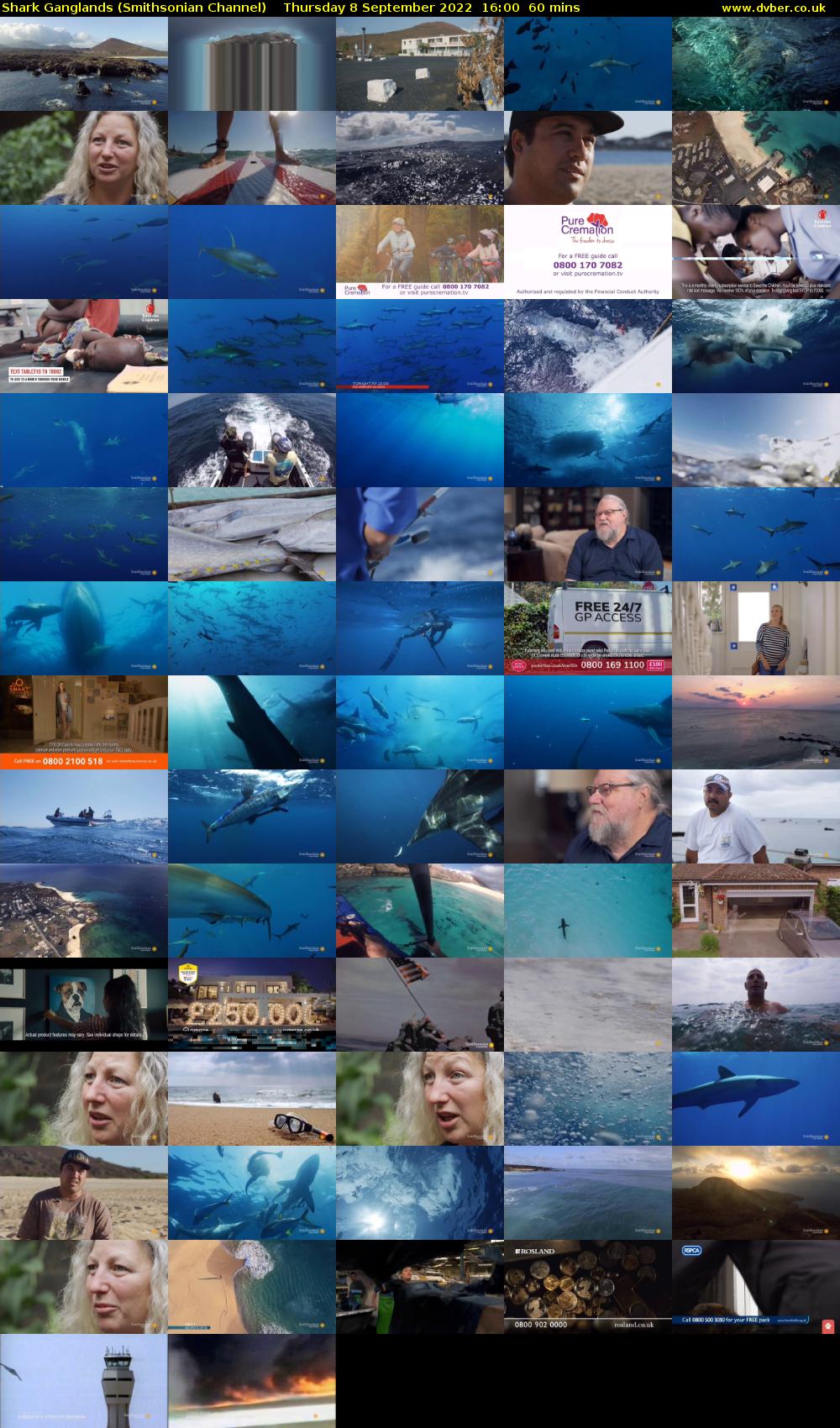 Shark Ganglands (Smithsonian Channel) Thursday 8 September 2022 16:00 - 17:00