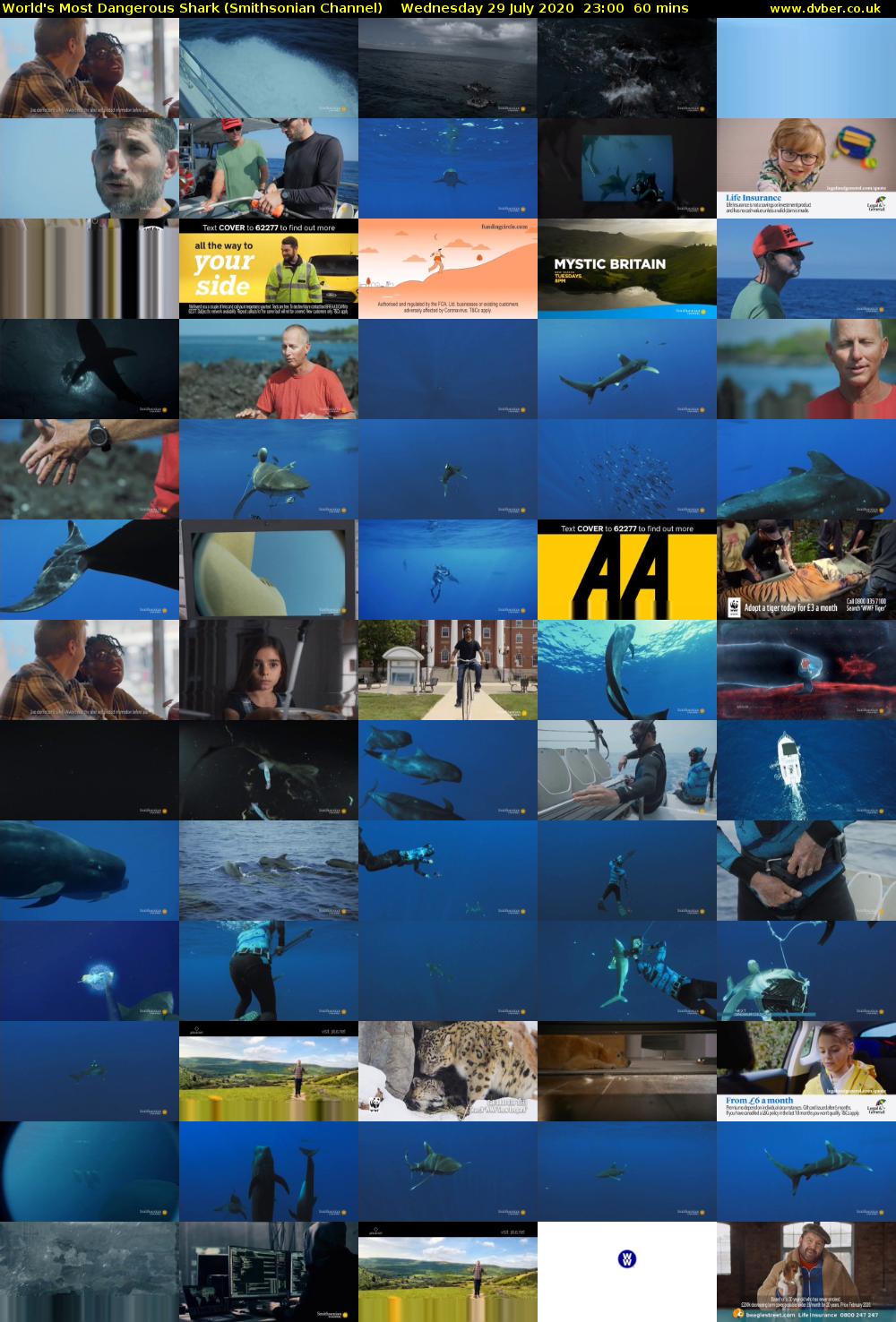 World's Most Dangerous Shark (Smithsonian Channel) Wednesday 29 July 2020 23:00 - 00:00