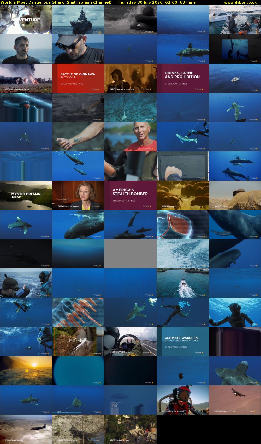 World's Most Dangerous Shark (Smithsonian Channel) Thursday 30 July 2020 02:00 - 03:00