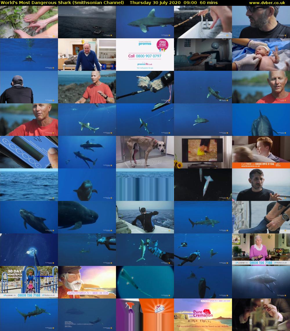 World's Most Dangerous Shark (Smithsonian Channel) Thursday 30 July 2020 09:00 - 10:00