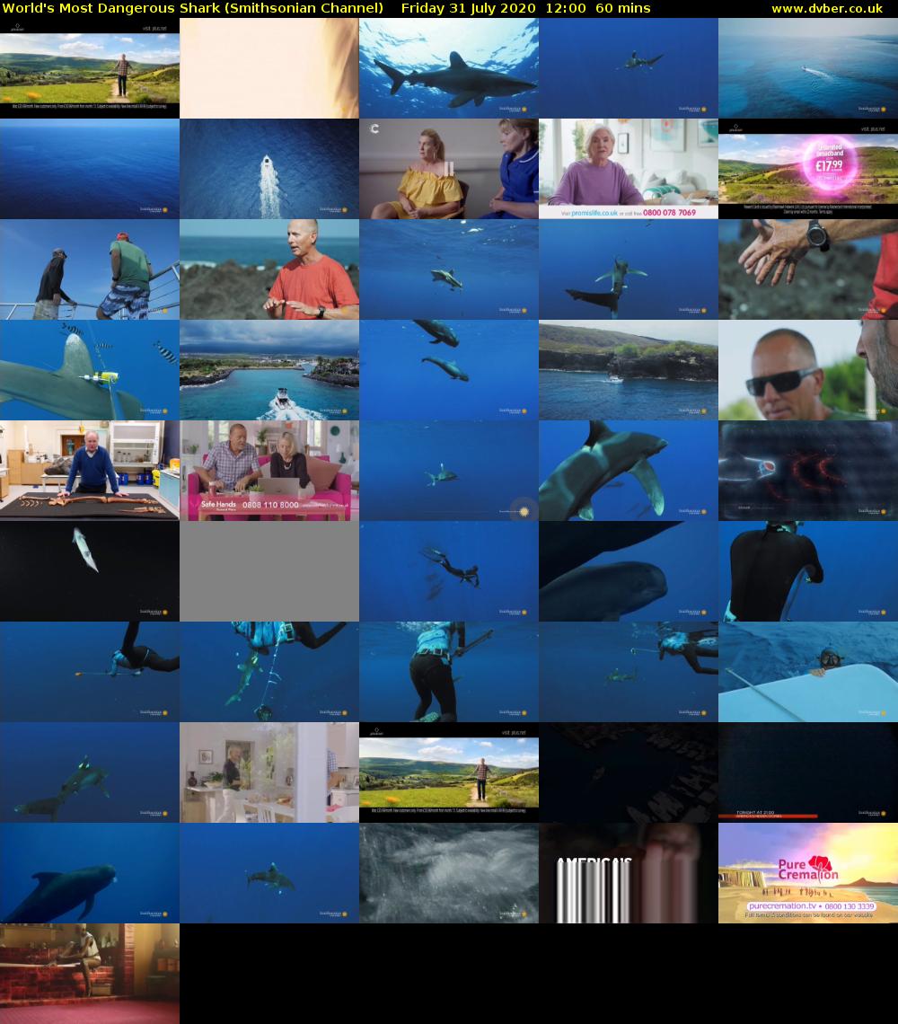 World's Most Dangerous Shark (Smithsonian Channel) Friday 31 July 2020 12:00 - 13:00