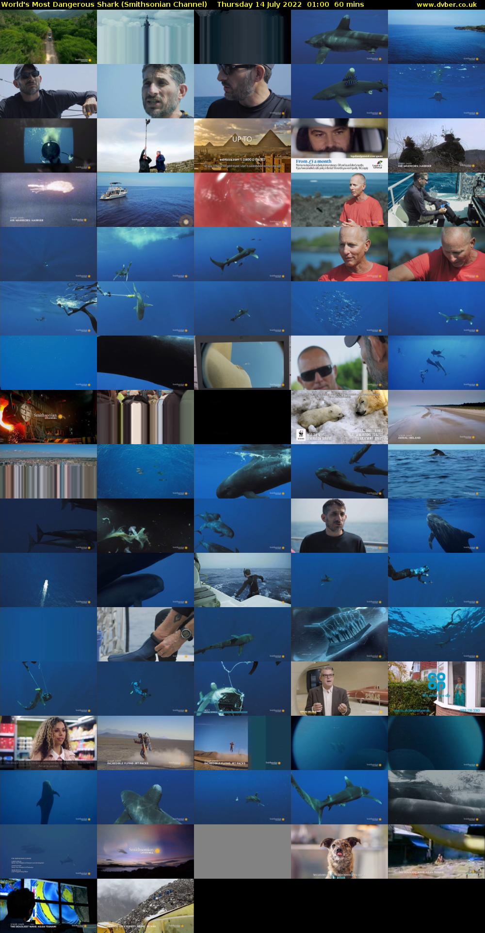 World's Most Dangerous Shark (Smithsonian Channel) Thursday 14 July 2022 01:00 - 02:00
