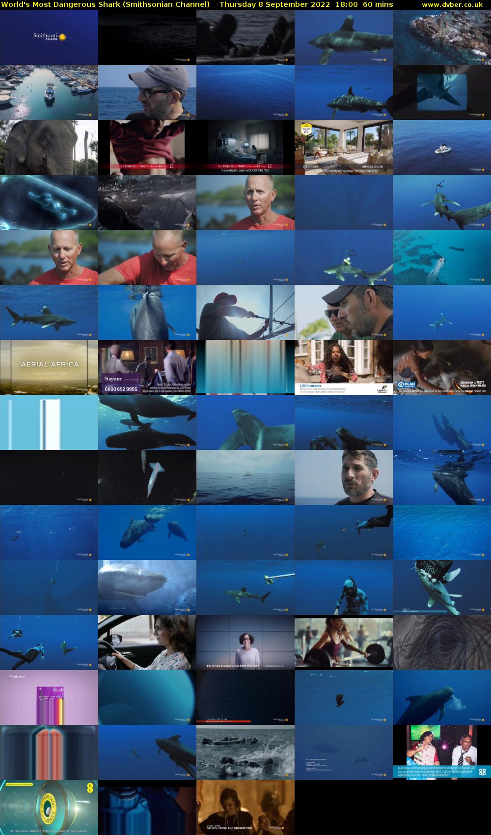 World's Most Dangerous Shark (Smithsonian Channel) Thursday 8 September 2022 18:00 - 19:00