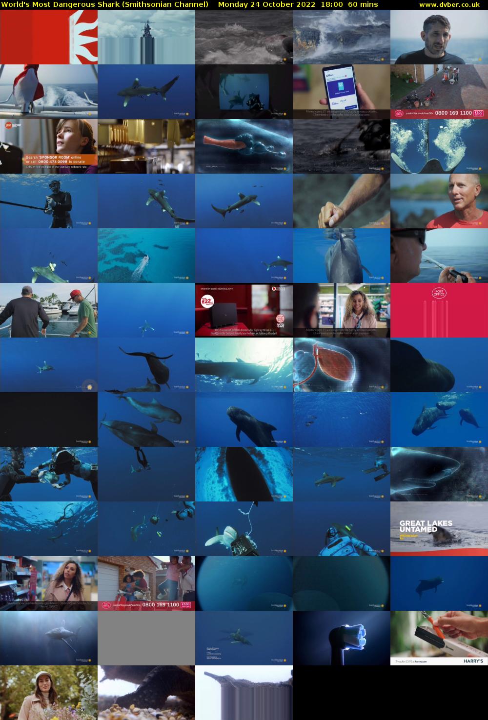 World's Most Dangerous Shark (Smithsonian Channel) Monday 24 October 2022 18:00 - 19:00