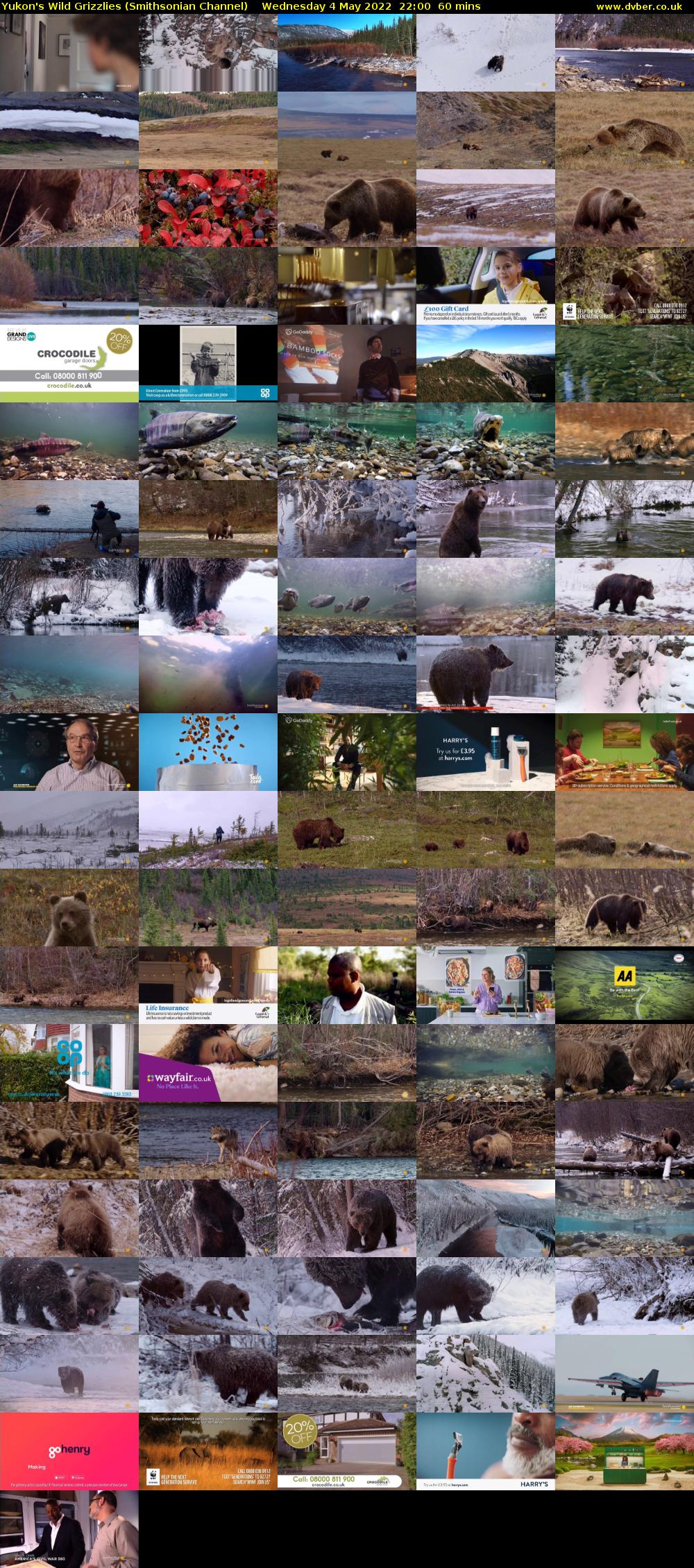 Yukon's Wild Grizzlies (Smithsonian Channel) Wednesday 4 May 2022 22:00 - 23:00