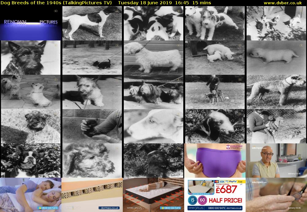 Dog Breeds of the 1940s (TalkingPictures TV) Tuesday 18 June 2019 16:45 - 17:00