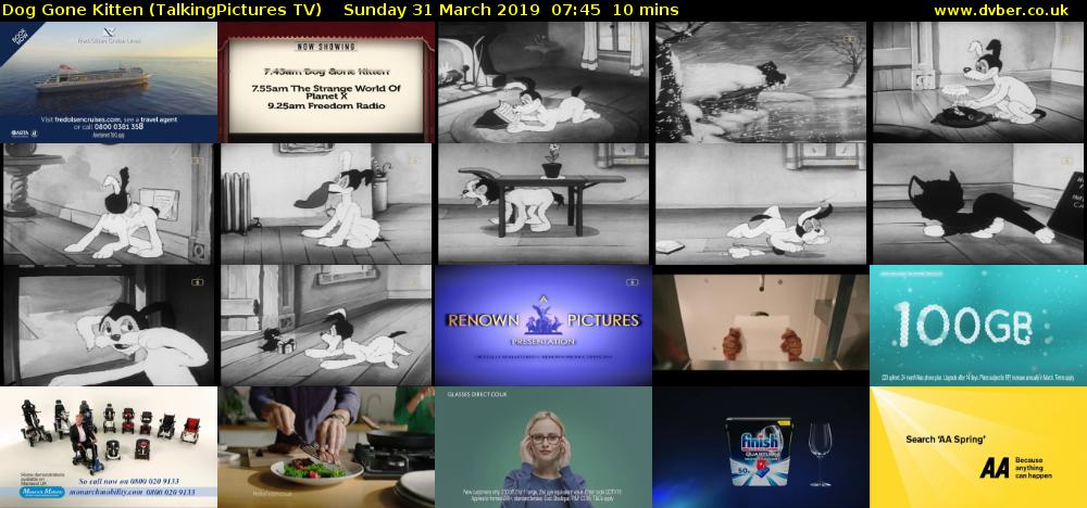 Dog Gone Kitten (TalkingPictures TV) Sunday 31 March 2019 07:45 - 07:55