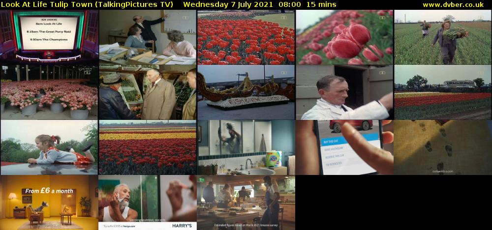 Look At Life Tulip Town (TalkingPictures TV) Wednesday 7 July 2021 08:00 - 08:15