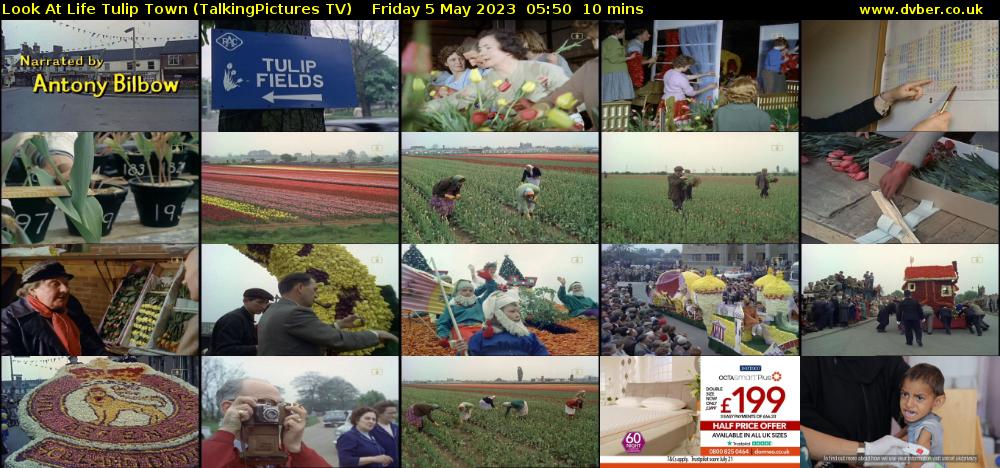 Look At Life Tulip Town (TalkingPictures TV) Friday 5 May 2023 05:50 - 06:00