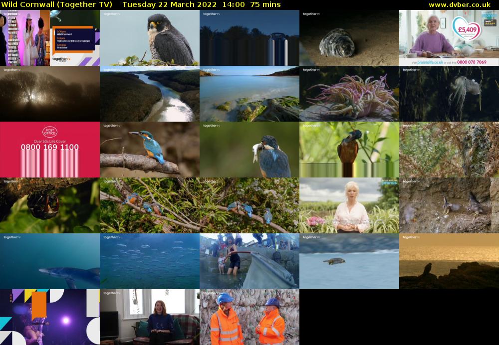 Wild Cornwall (Together TV) Tuesday 22 March 2022 14:00 - 15:15