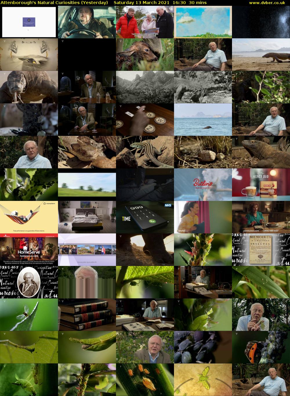 Attenborough's Natural Curiosities (Yesterday) Saturday 13 March 2021 16:30 - 17:00