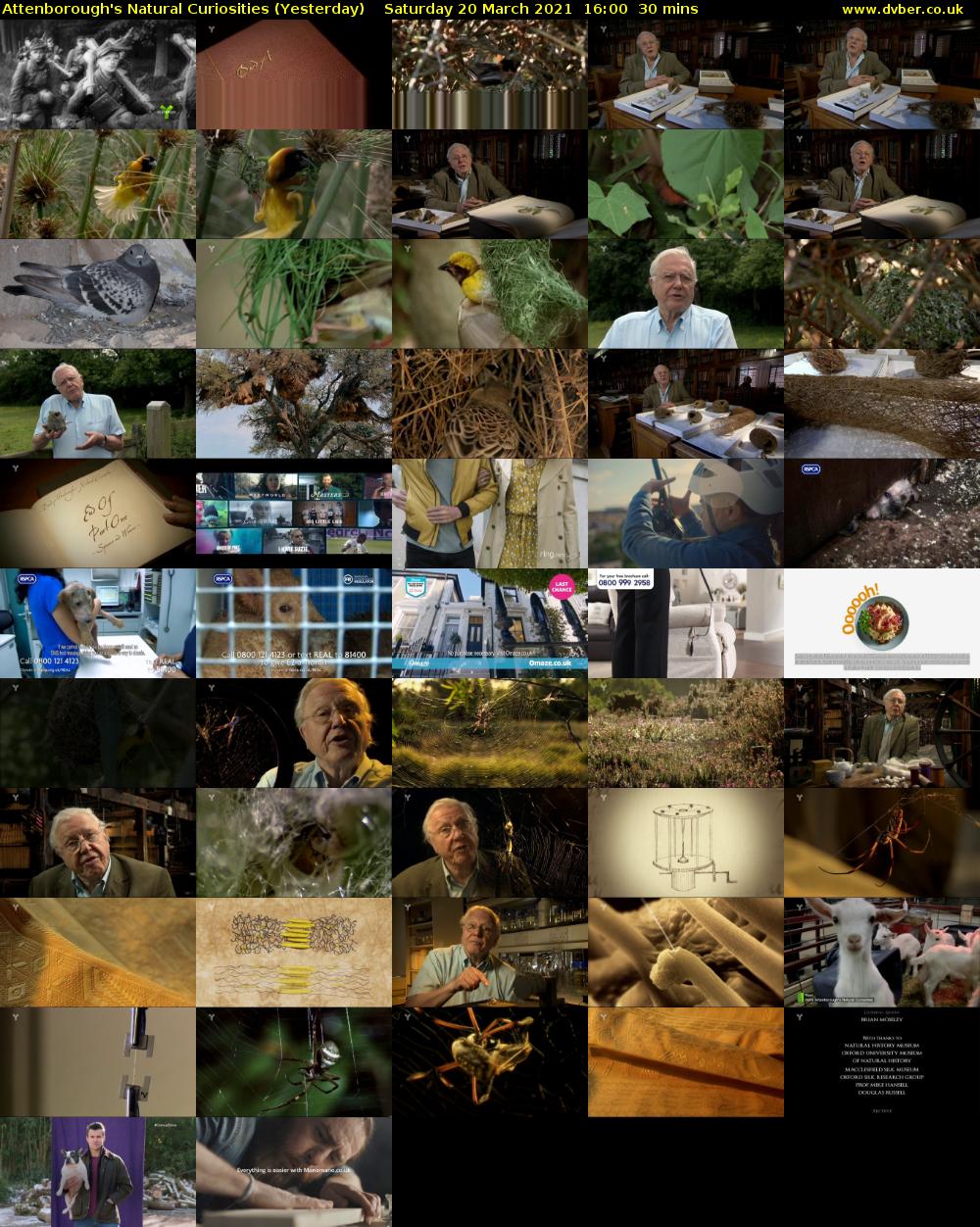 Attenborough's Natural Curiosities (Yesterday) Saturday 20 March 2021 16:00 - 16:30