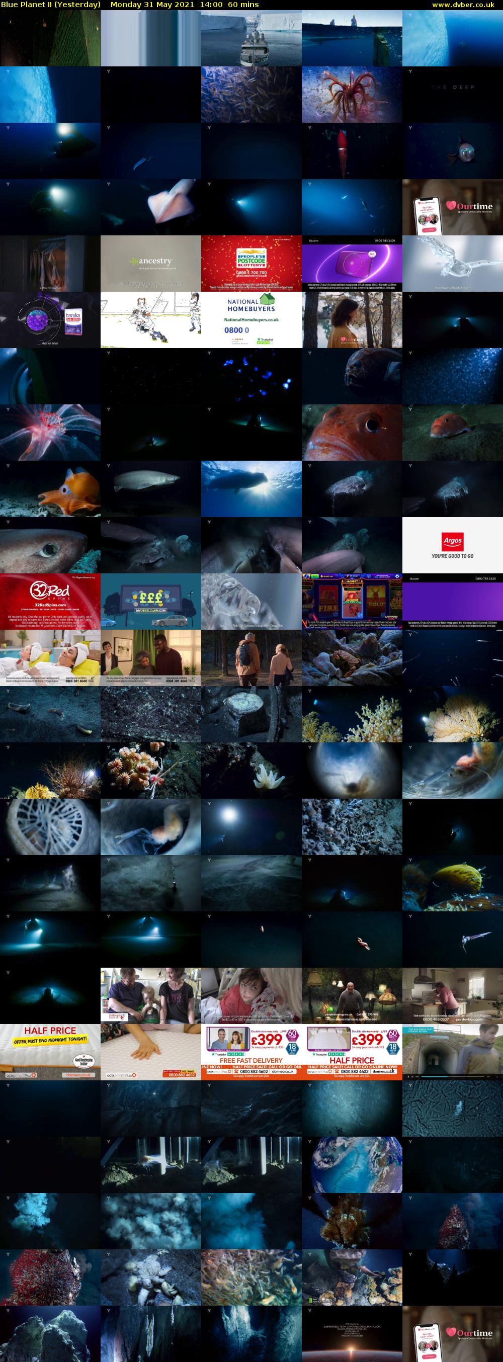 Blue Planet II (Yesterday) Monday 31 May 2021 14:00 - 15:00