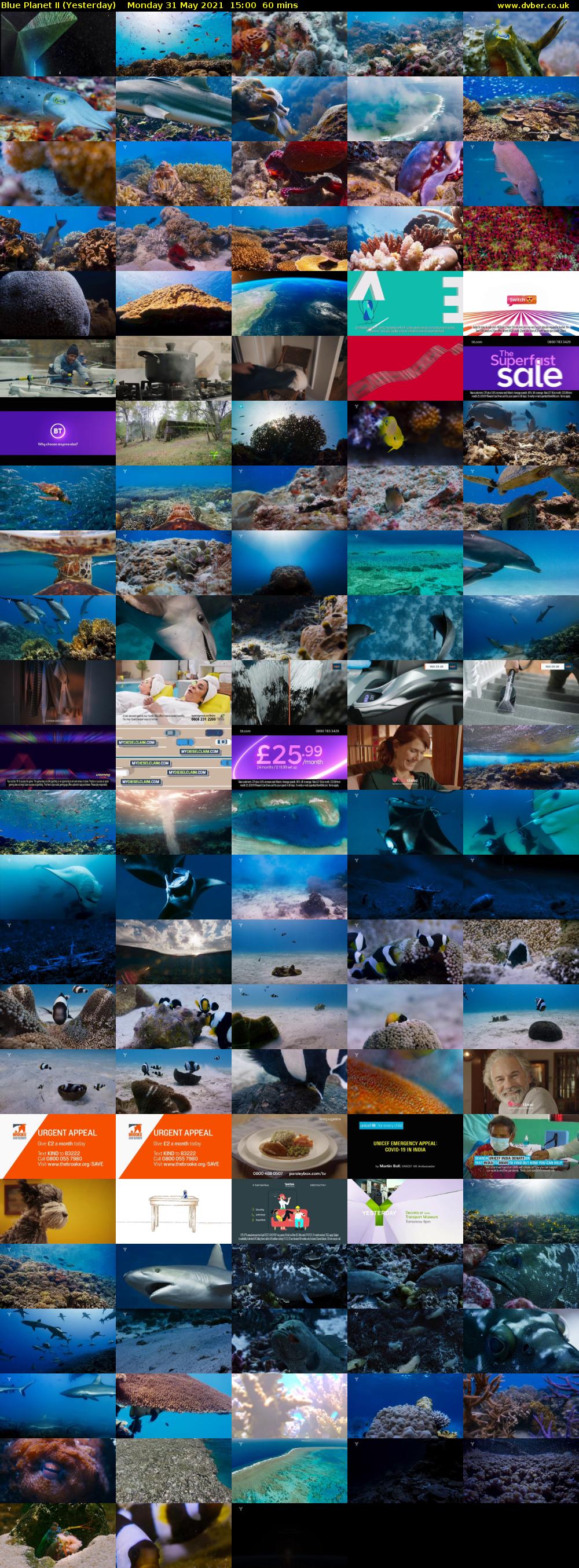 Blue Planet II (Yesterday) Monday 31 May 2021 15:00 - 16:00