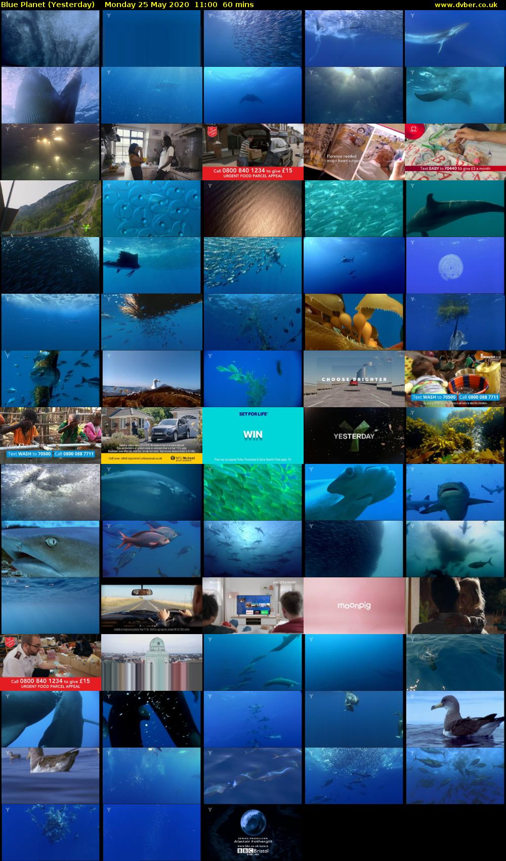 Blue Planet (Yesterday) Monday 25 May 2020 11:00 - 12:00