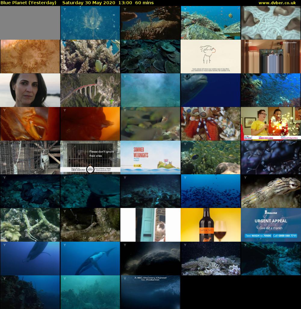 Blue Planet (Yesterday) Saturday 30 May 2020 13:00 - 14:00