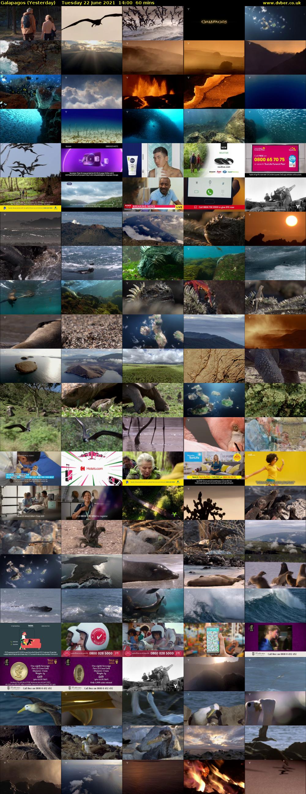 Galapagos (Yesterday) Tuesday 22 June 2021 14:00 - 15:00