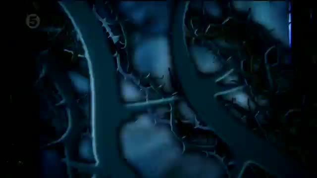 Intro sequence for Celebrity Big Brother