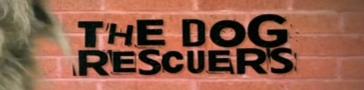 Programme banner for The Dog Rescuers