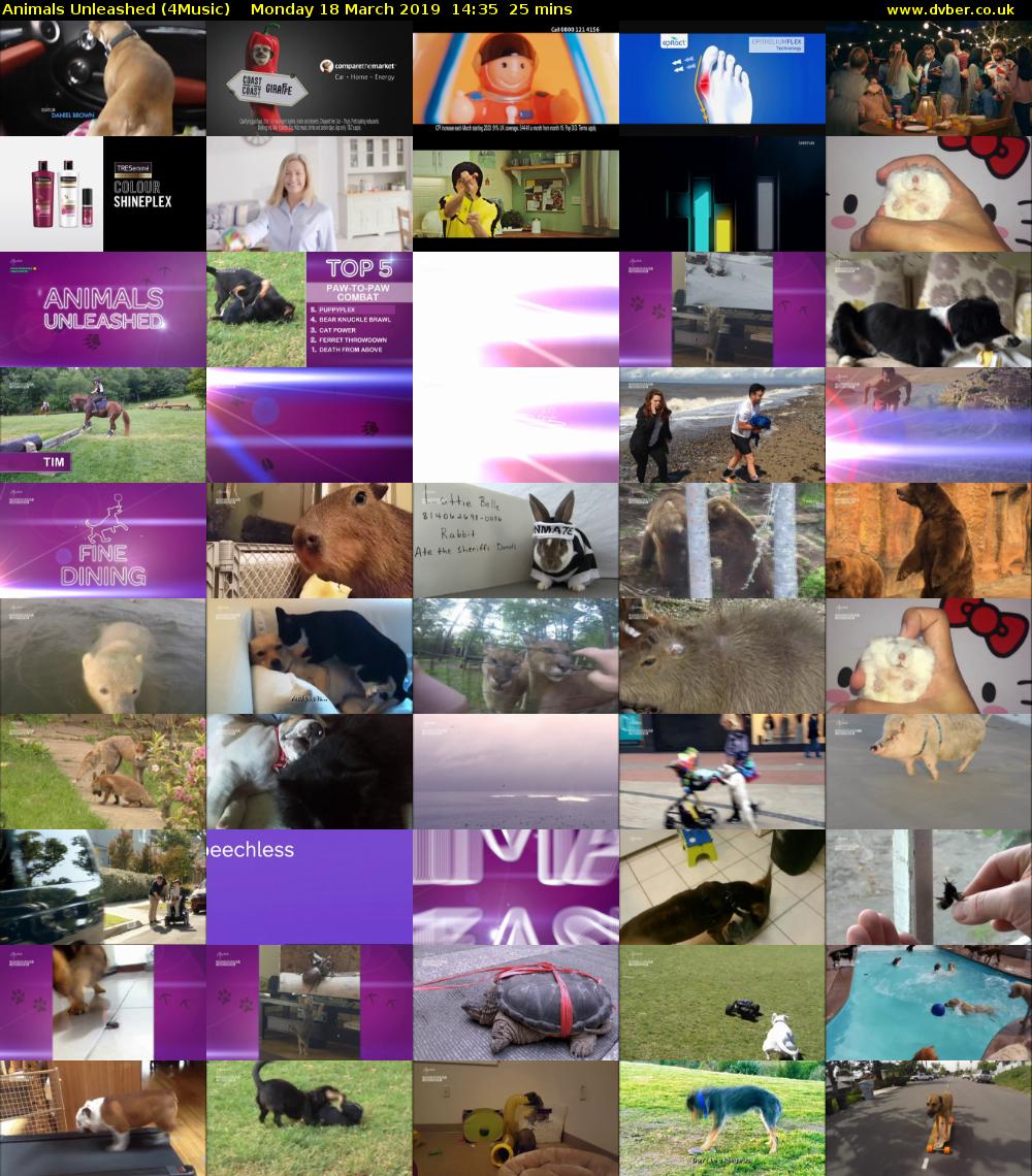 Animals Unleashed (4Music) Monday 18 March 2019 14:35 - 15:00