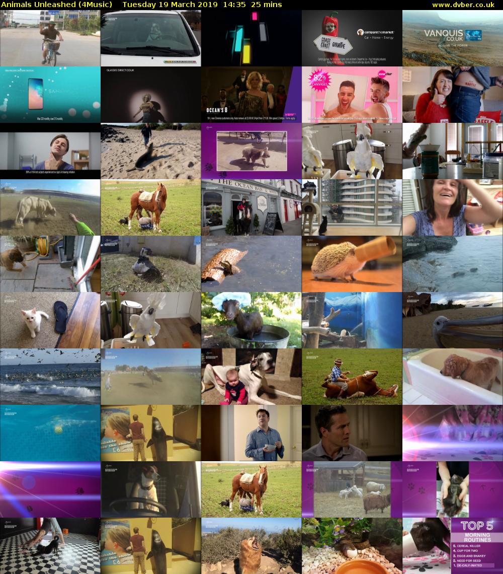 Animals Unleashed (4Music) Tuesday 19 March 2019 14:35 - 15:00