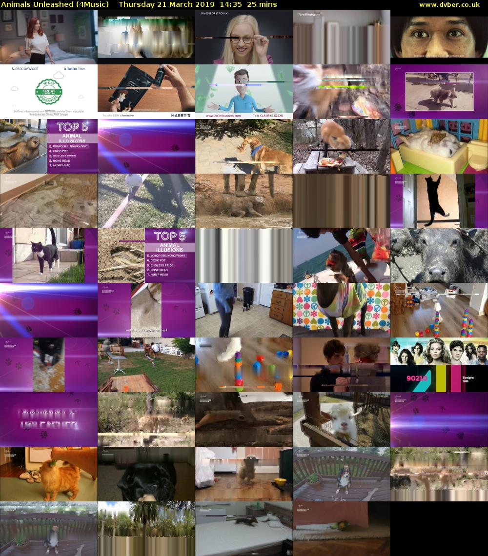 Animals Unleashed (4Music) Thursday 21 March 2019 14:35 - 15:00