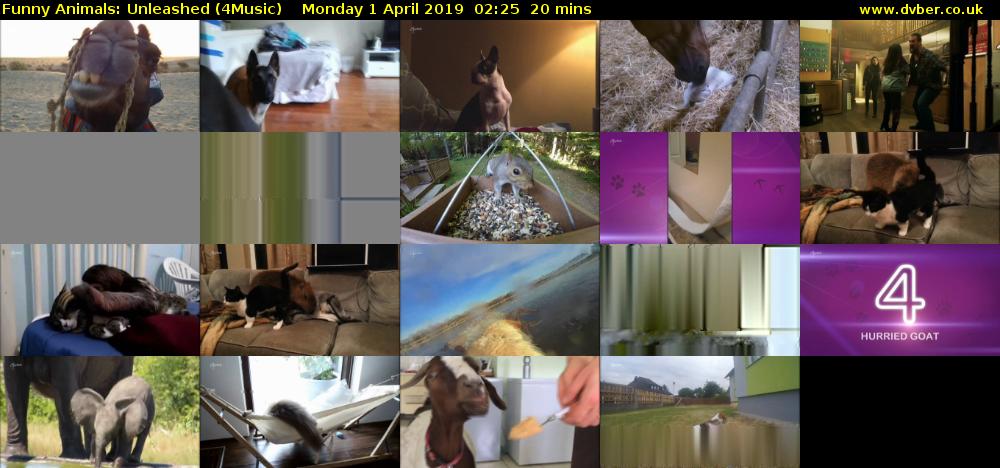 Funny Animals: Unleashed (4Music) Monday 1 April 2019 02:25 - 02:45