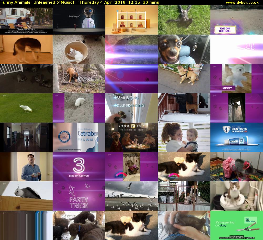 Funny Animals: Unleashed (4Music) Thursday 4 April 2019 12:15 - 12:45