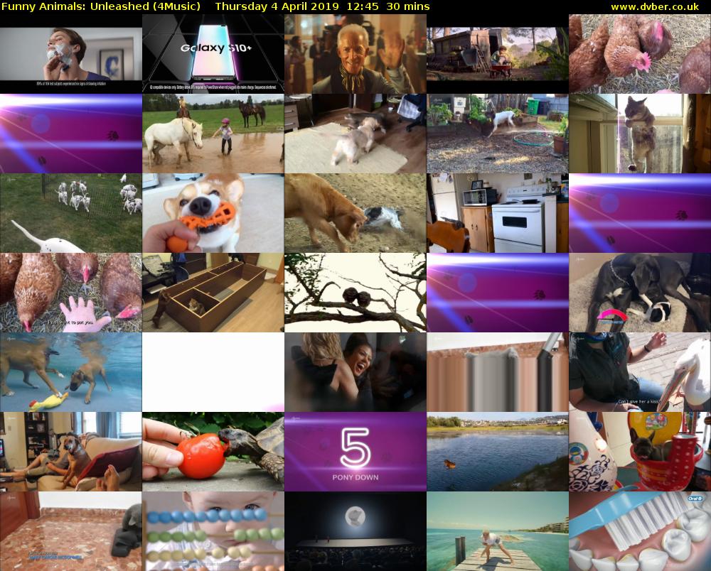 Funny Animals: Unleashed (4Music) Thursday 4 April 2019 12:45 - 13:15