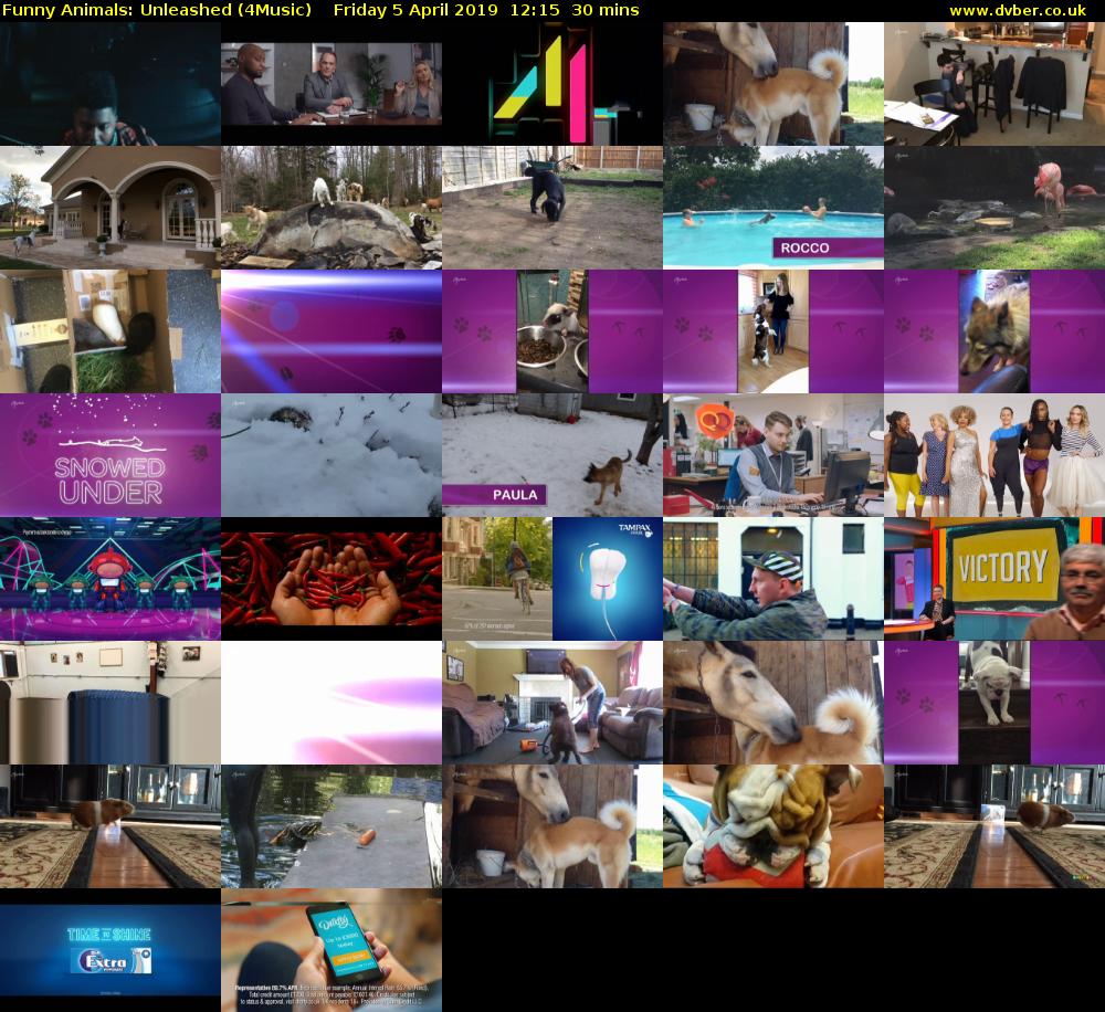 Funny Animals: Unleashed (4Music) Friday 5 April 2019 12:15 - 12:45