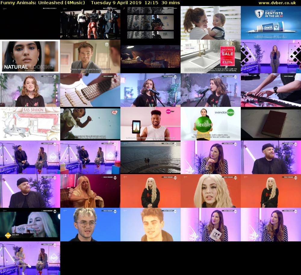 Funny Animals: Unleashed (4Music) Tuesday 9 April 2019 12:15 - 12:45